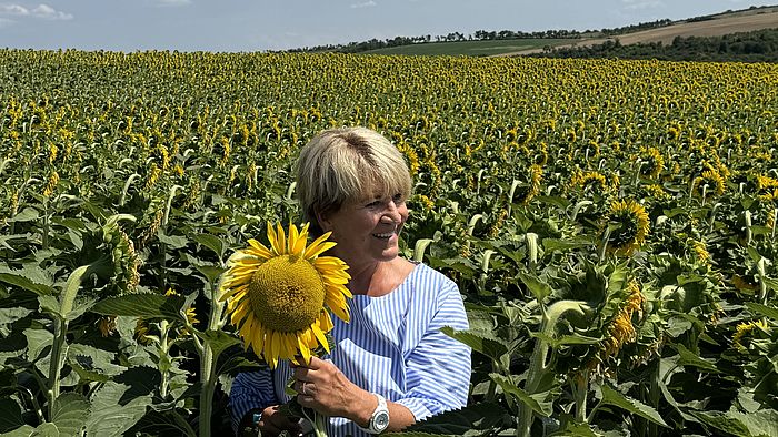 Im Sonnenblumenland Burgenland Im Sonnenblumenland Burgenland