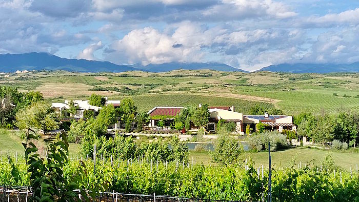  Zornitza Estate mitten im Weingebiet 