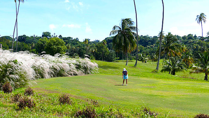  Tobago Golf