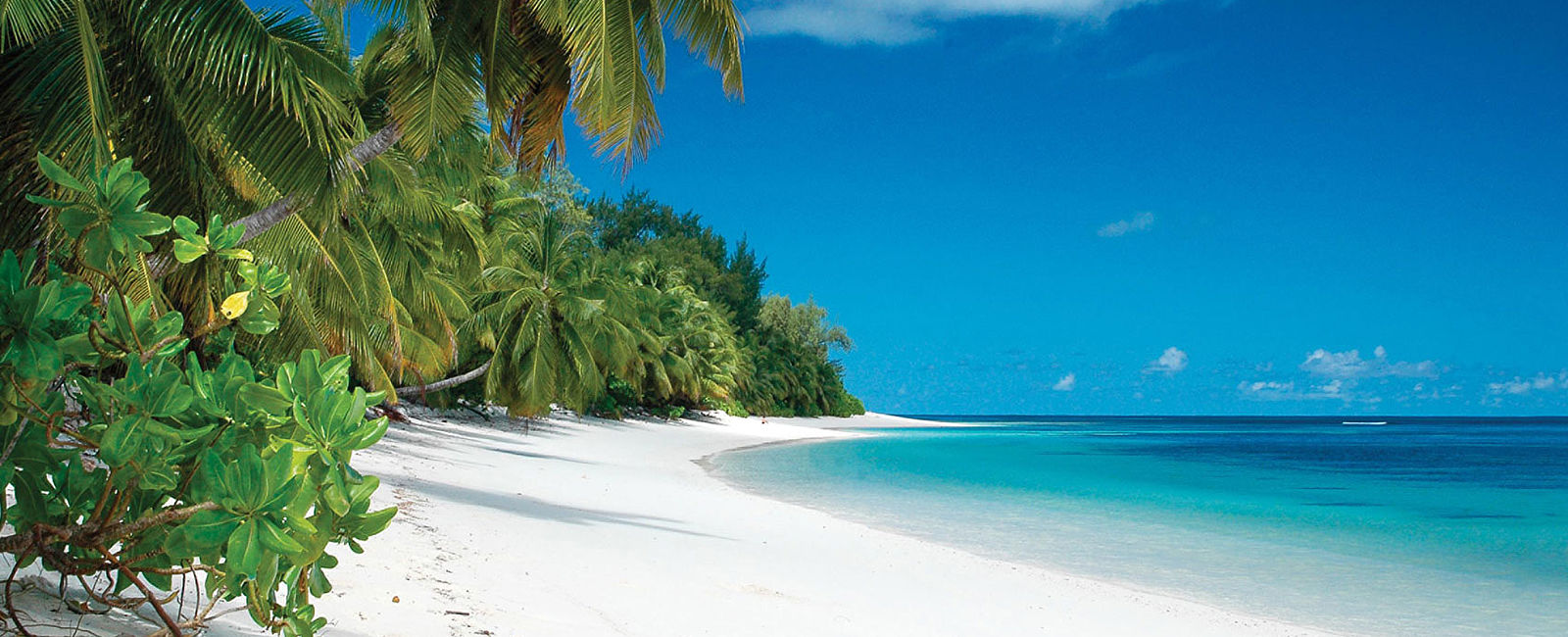 GRATULANTEN
 Beachguide für Seychellen-Fans 
