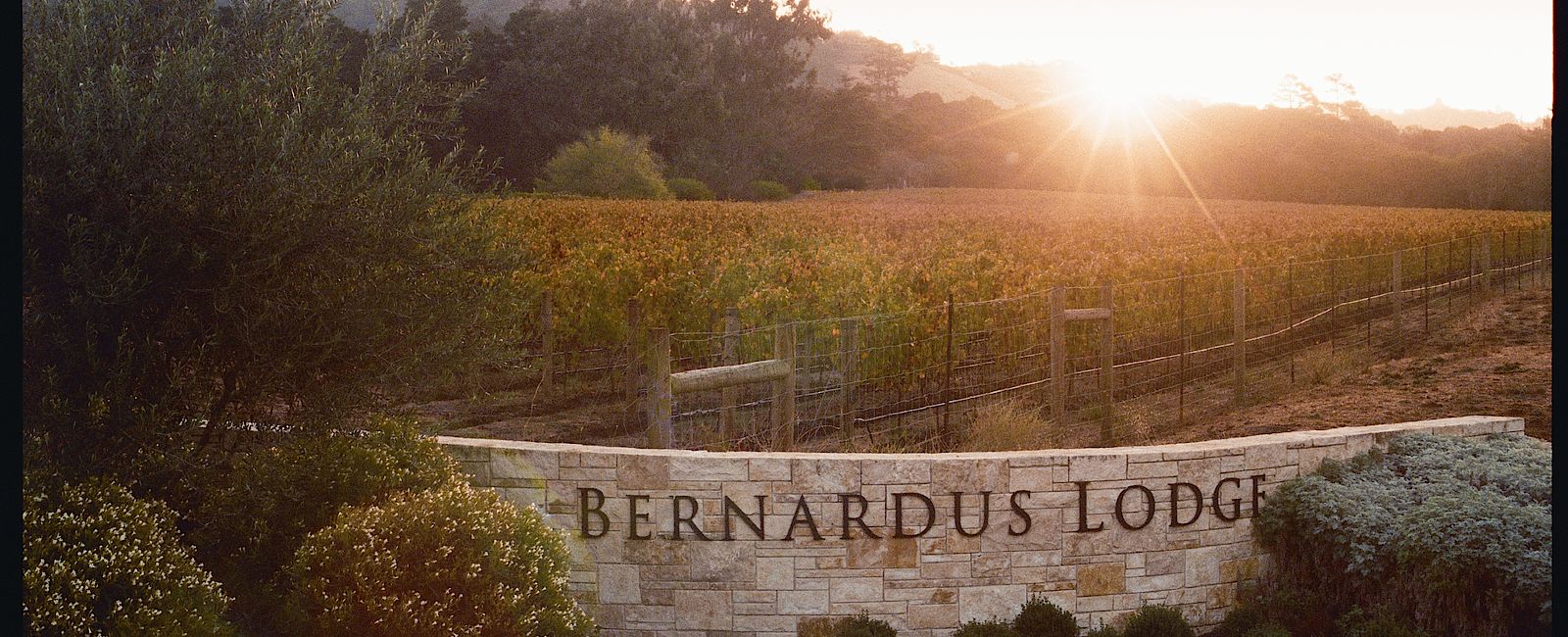 HOTEL TIPPS
 Bernardus Lodge & Spa 
 Kulinarisches Luxus Anwesen mit einer erlesen Weinauswahl 