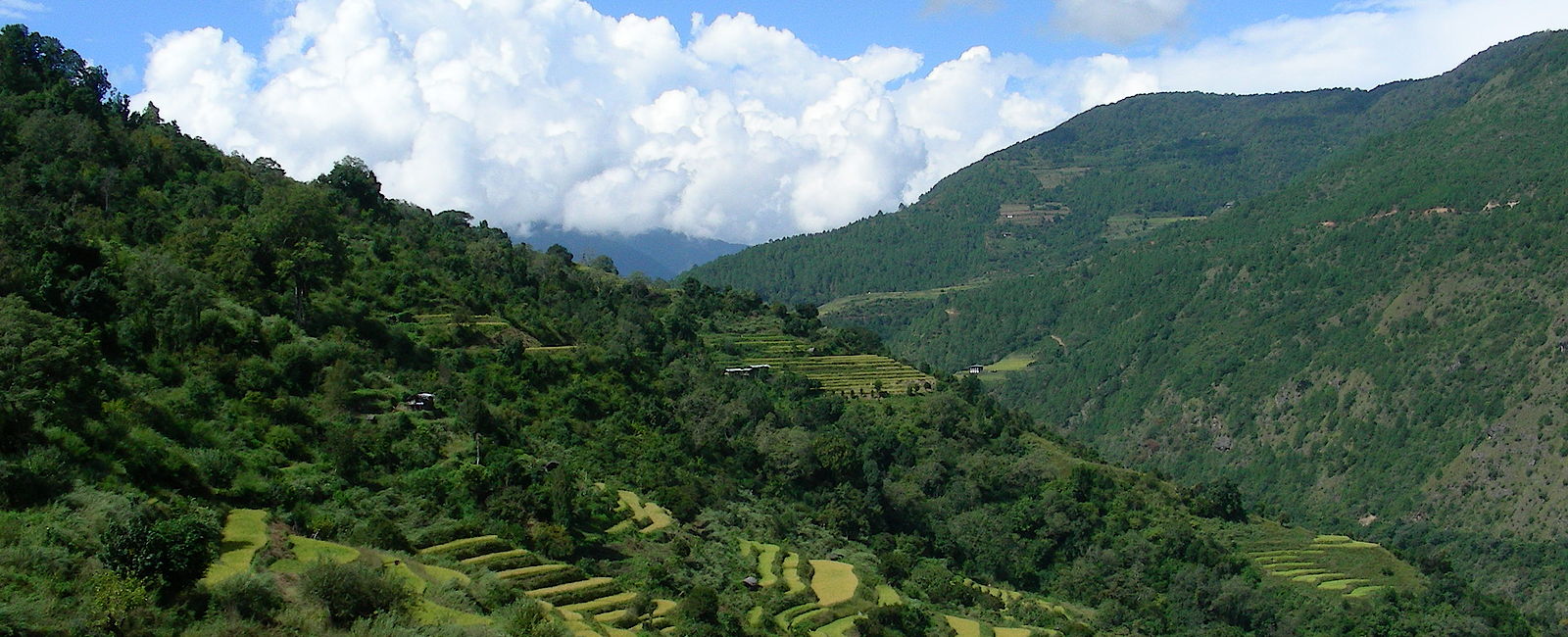 BHUTAN
 Bhutan Reise - Urlaub im Himalaya Königreich 