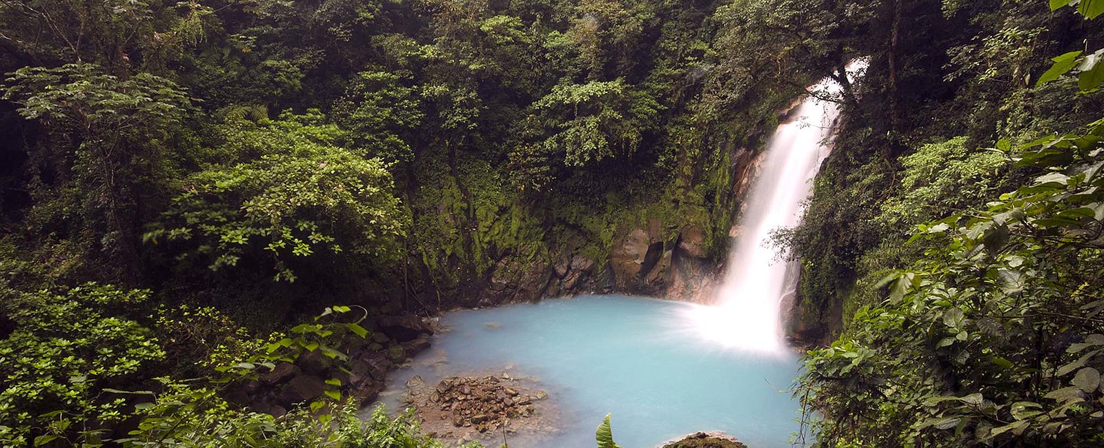 GRATULANTEN
 Costa Rica  
