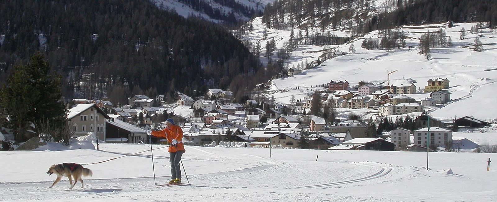 HOTEL NEWS
 Mit den Vierbeinern auf die Loipe 
