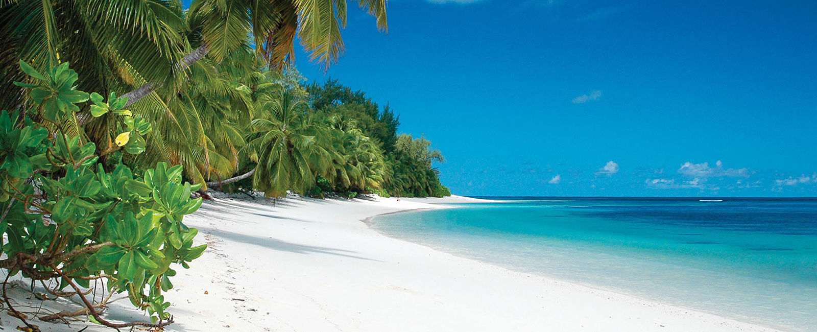 VERY SPECIAL HOTEL
 Four Seasons Resort Desroches Island 
 Inselparadies Seychellen – Individualisierter Traumurlaub vom Spezialisten SeyVillas 