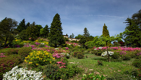 5-Sterne-Picknick im botanischen Park
