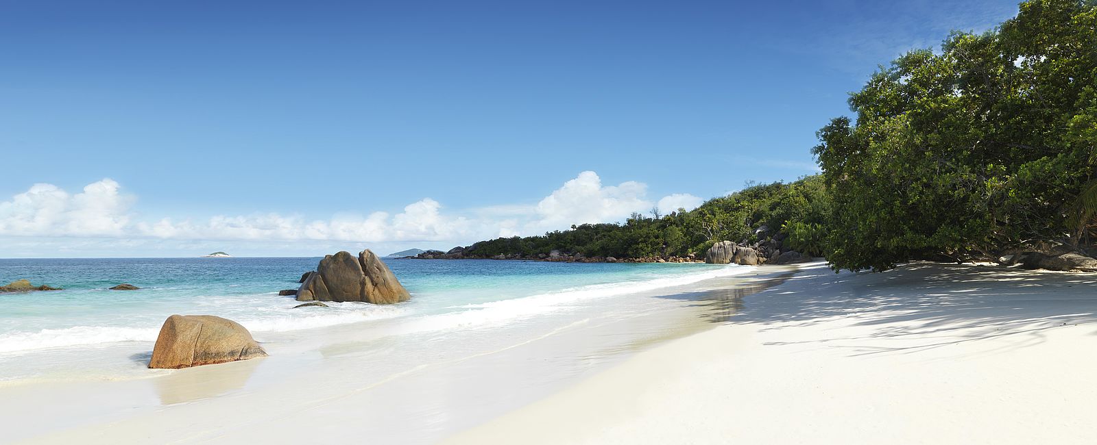 HOTEL NEWS
 Die Top 5 Kräuter-Tipps des Raffles Seychelles 
