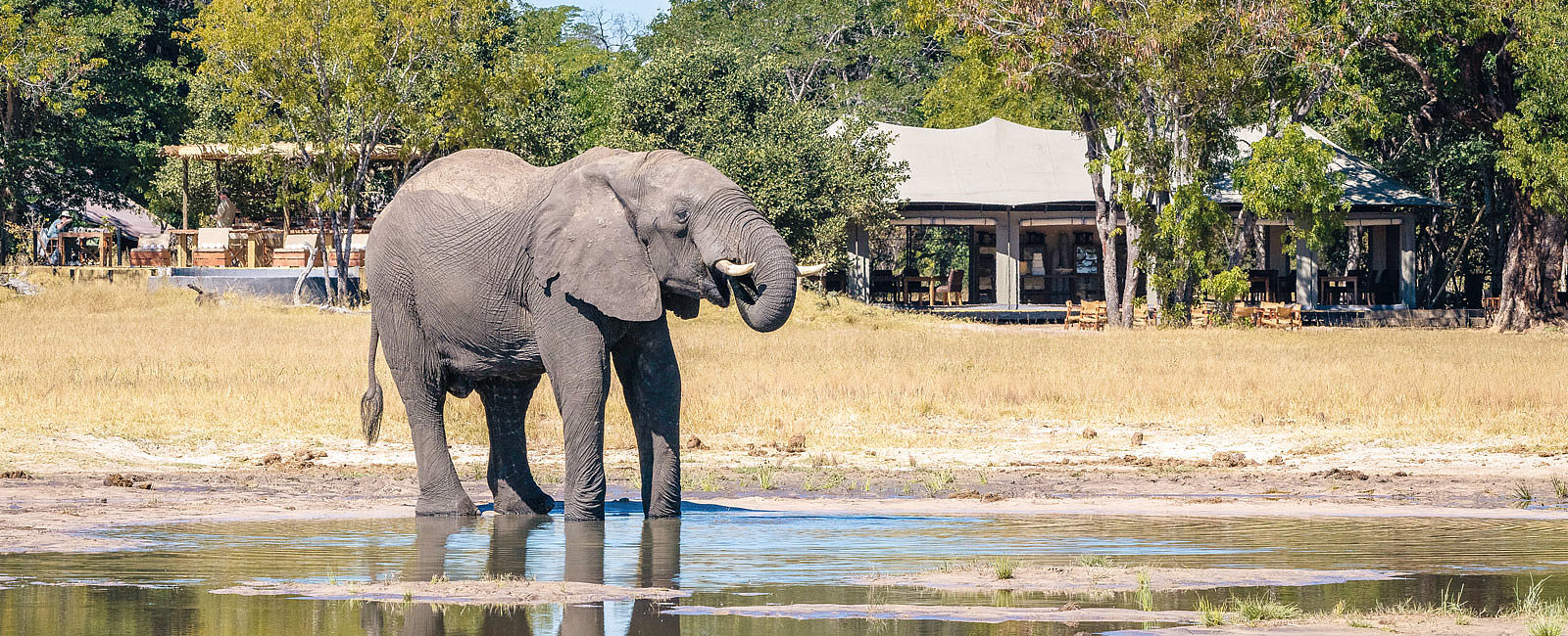 HOTEL NEWS
 Afrikas Wildlife erleben 
