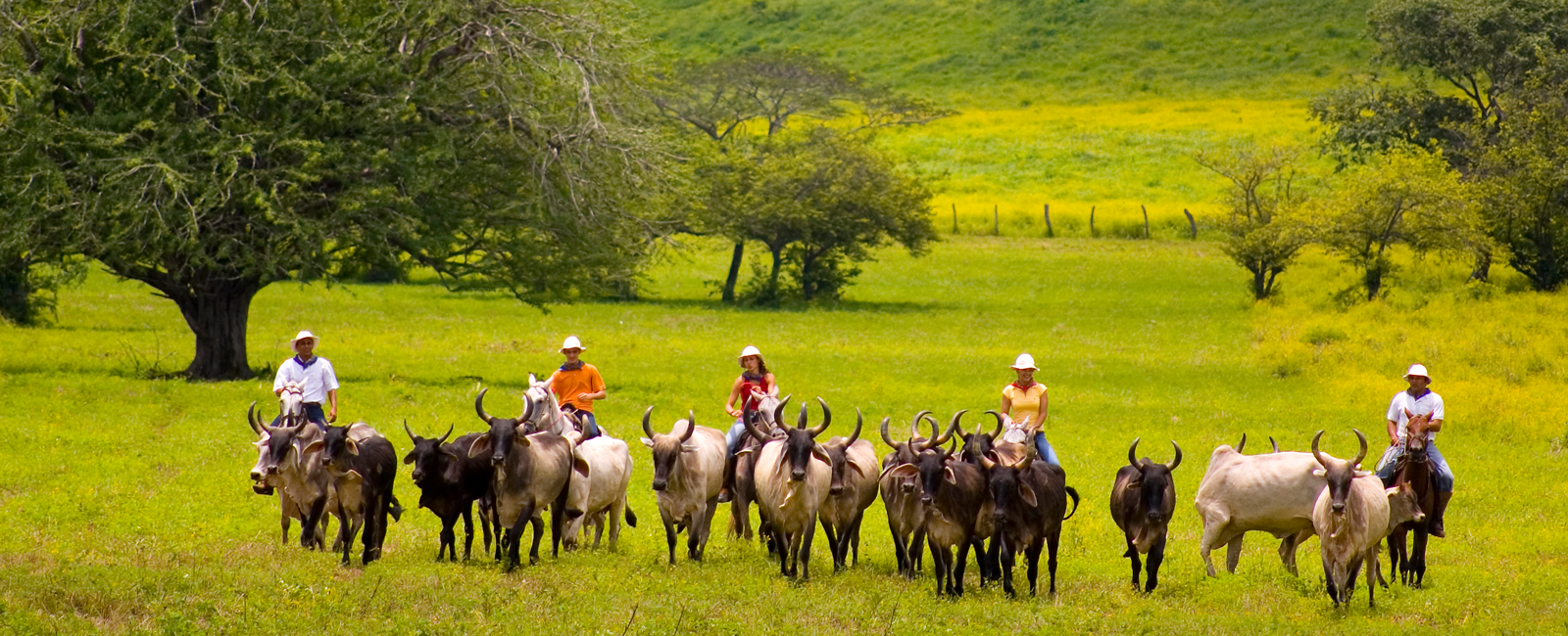 GRATULANTEN
 Urlaub in Costa Rica – besuchen Sie die Region Guanacaste 
