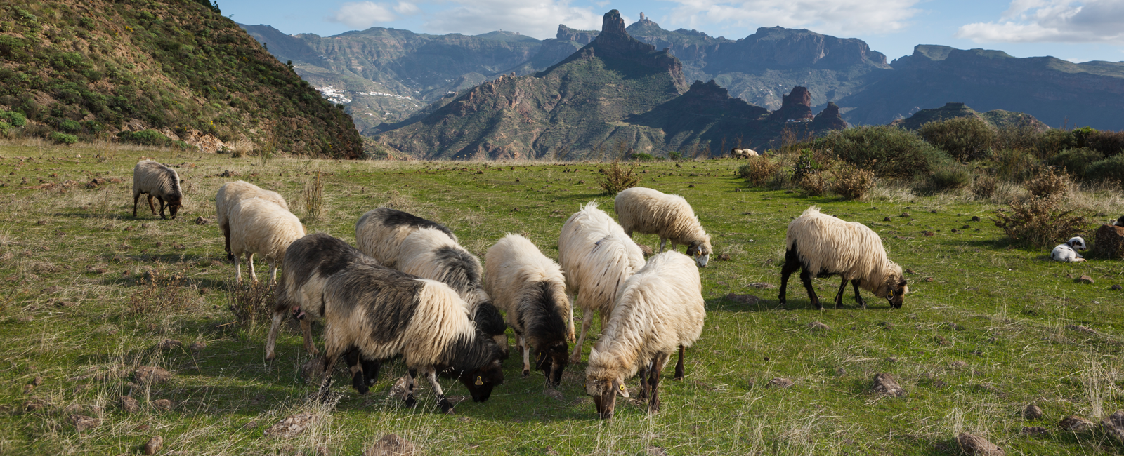 GRATULANTEN
 Gran Canaria: Risco Caído zum UNESCO Welterbe ernannt 
