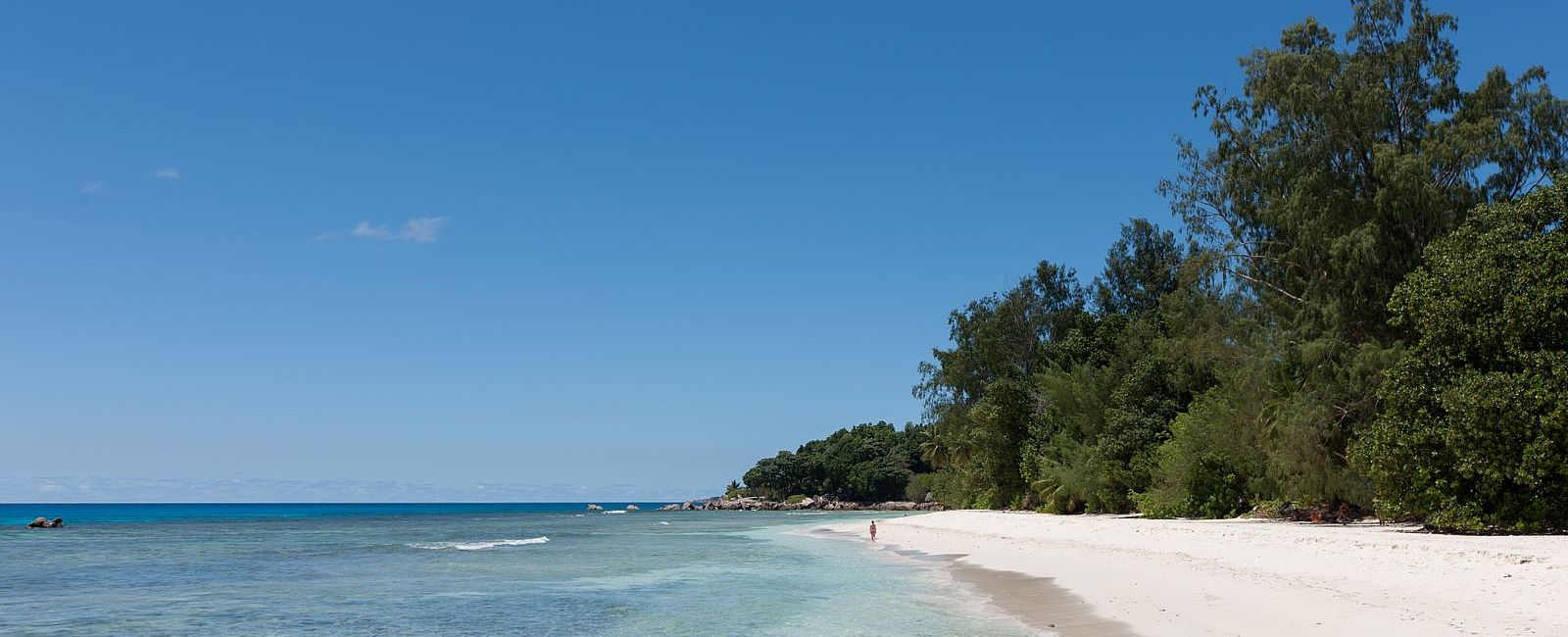 WEITERE NEWS
 Urlaub an den schönsten Stränden der Welt 
