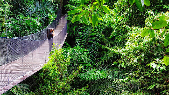 Über den Baumkronen (c) Bunga Raya Island Resort