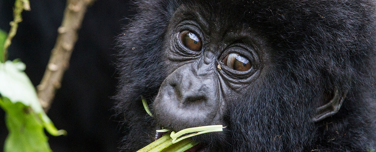 HOTELERÖFFNUNG NEWS
 Residieren wie der König von Ruanda 
