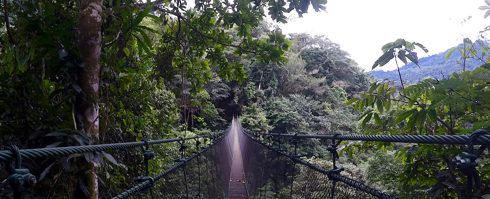 GRATULANTEN
 Magische Reise nach Costa Rica 
