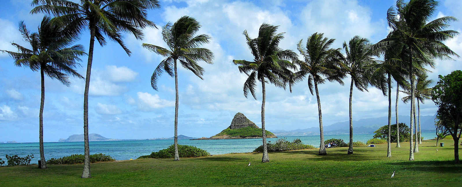 HAWAII
 Hawaii Reisen - Eine Traumreise auf die Aloha-Inseln 