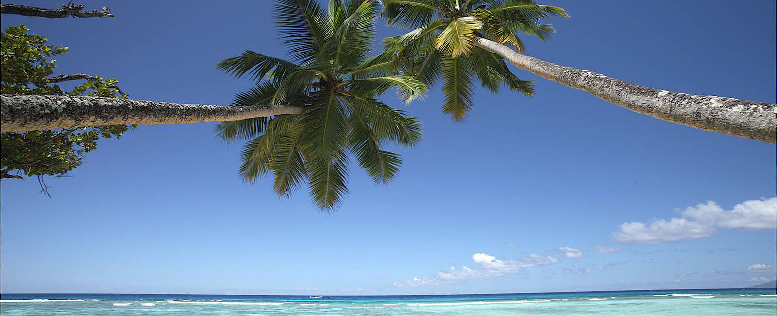 VERY SPECIAL HOTEL
 Hilton Seychelles Labriz Resort & Spa 
 Paradiesische Seychellen 
