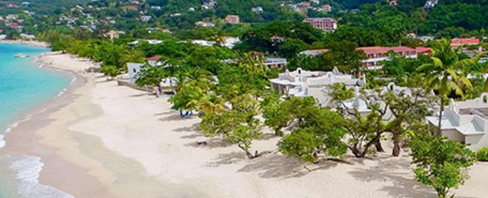 NEWS
 Das Spice Island Beach Resort 
