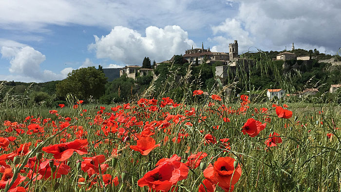  Ausflug ins romantische Hügelland Frankreichs