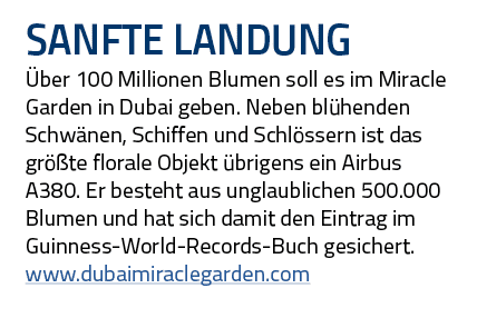 Sanfte Landung Über 100 Millionen Blumen soll es im Miracle Garden in Dubai geben  Neben blühenden Schwänen, Schiffen   