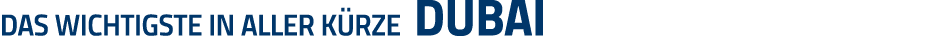 Das Wichtigste in aller Kürze dubai