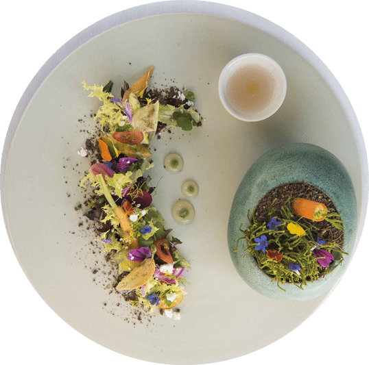 Verdure di stagione,olio extra vergine toscano by chef Andrea Mattei of Restaurant Meo Modo,Relais Borgo Santo Pietro,Località Palazzetto, Siena