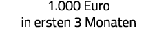 1 000 Euro in ersten 3 Monaten 
