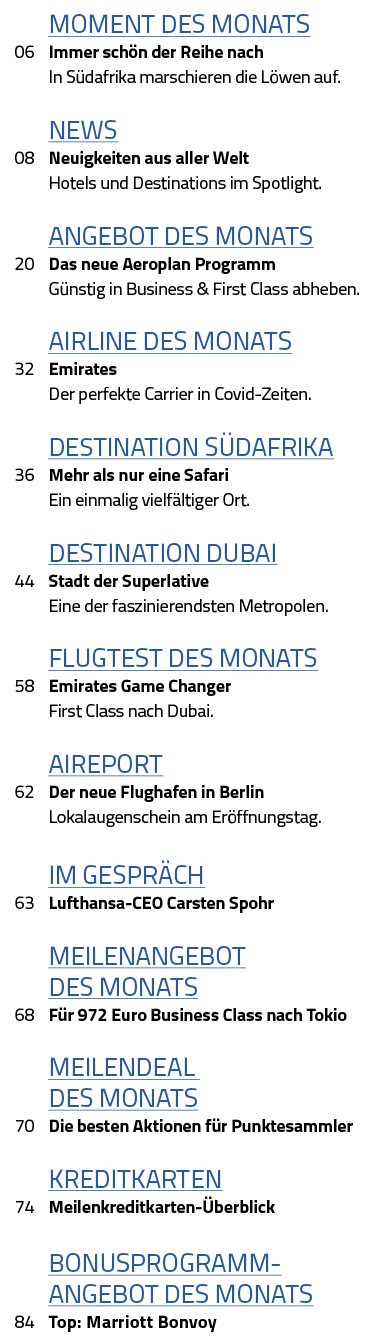  Moment des Monats 06 Immer schön der Reihe nach  In Südafrika marschieren die Löwen auf   News 08 Neuigkeiten aus al   